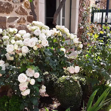 Les Terres Basses 3* Fabrezan